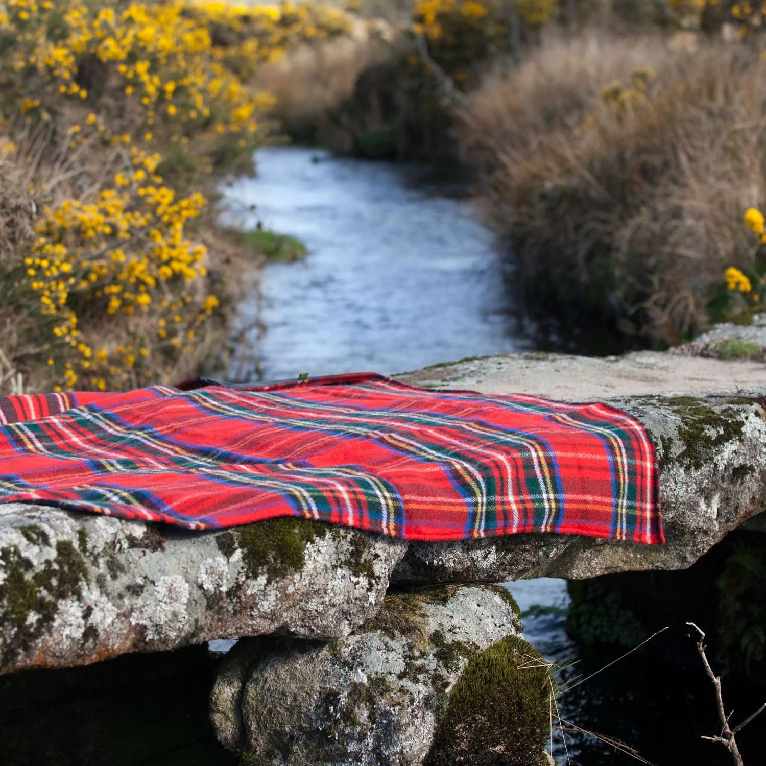 Large Eventer Wool Picnic Rug Royal Stewart - Image 4